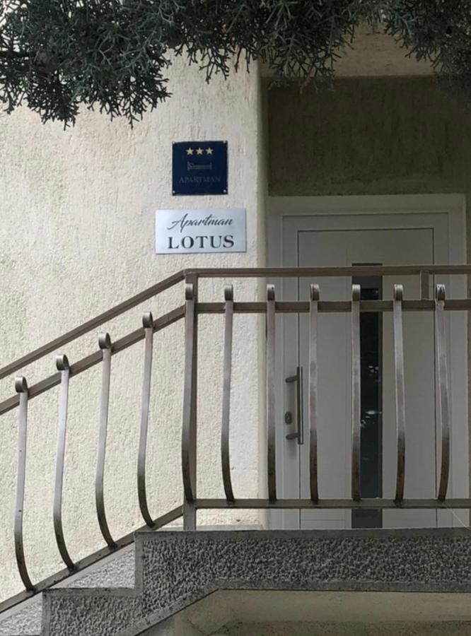 Lotus Holiday Apartment In Skrljevo 巴卡尔 外观 照片